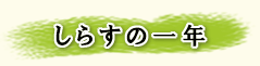 しらすの一年