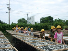 見学２００３年６月