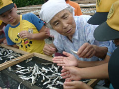 見学２００３年６月-4