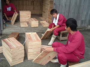 職場体験２００３年１１月ー２