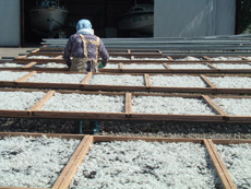 できるまで１１