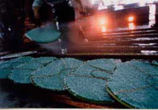 できるまで１０